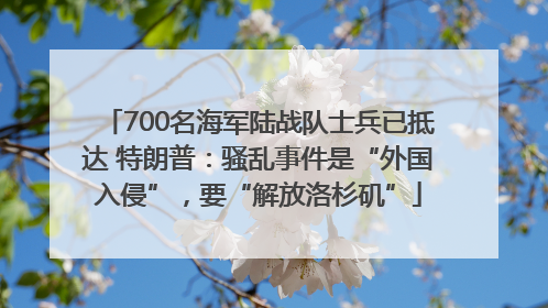 700名海军陆战队士兵已抵达 特朗普：骚乱事件是“外国入侵”，要“解放洛杉矶”