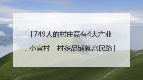 749人的村庄竟有4大产业，小官村一村多品铺就富民路