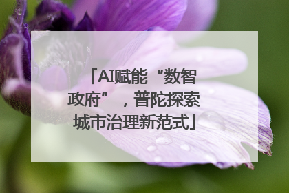AI赋能“数智政府”，普陀探索城市治理新范式