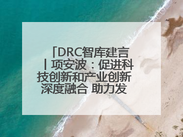 DRC智库建言丨项安波：促进科技创新和产业创新深度融合 助力发展新质生产力