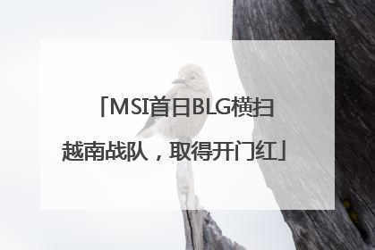 MSI首日BLG横扫越南战队，取得开门红