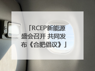 RCEP新能源盛会召开 共同发布《合肥倡议》